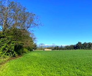 terreno único 5000 mts 