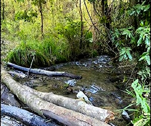 Terreno Patagual