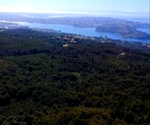 AGRICOLA CHILOÉ 640 HA Chonchi