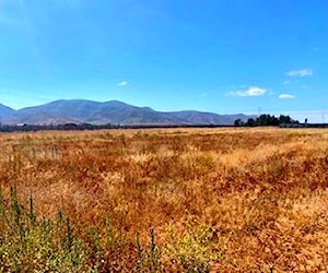 Lote 5.000 metros, Pan de Azúcar