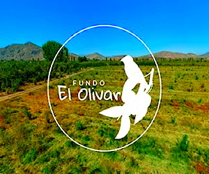 Parcelas agrícolas en la VI Región Fundo el Olivar