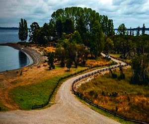 Parcela PUYEHUE RíO Bueno