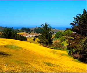 Sitio Camino Viejo a Punta de Lobos Pichilemu