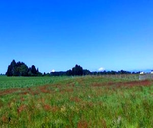 Sitio/Terreno Paraguay grande Puerto Varas