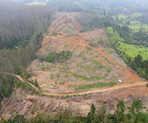 Terreno forestal 10 ha cerca Teodoro Schmidt