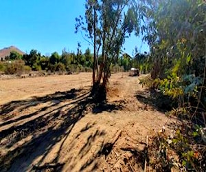 Sitio VALLE DEL ELQUI / PLAZA VICUÑA &#8230;