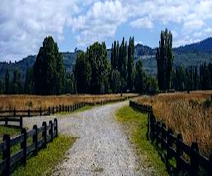 Parcela PUYEHUE RíO Bueno