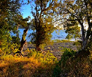 Sitio PUYEHUE RíO Bueno