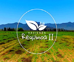 5.000 m2 en Requinoa (REQII1)6