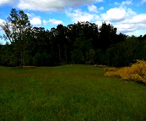 Terreno en Rio negro-Riachuelo Osorno