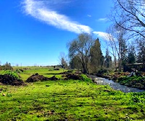 Parcela Agrícola Guaico - Romeral - Curicó