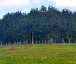 Parcela Camino a Niágara Temuco