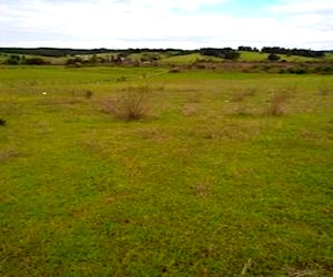 parcela ,paradero 6 , cabrales norte Yumbel