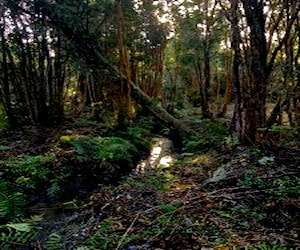  sitio en Piedra Azul, Puerto Montt