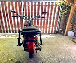 Bici moto JL 49cc