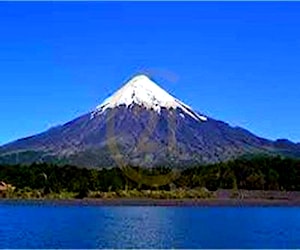 PARCELAS en venta a orillas del LAGO PUYEHUE