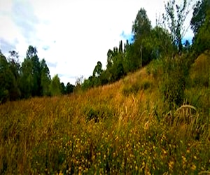 Terreno Orilla De Rio Colegual