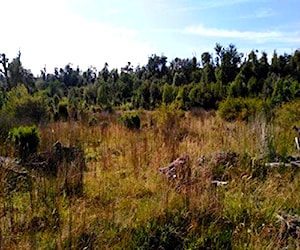 Terreno en Chiloe, cerca de Ancud