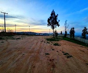 Hermosa Parcela En Peñablanca Gran Planicie