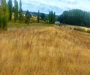 Terreno en límite urbano en yumbel