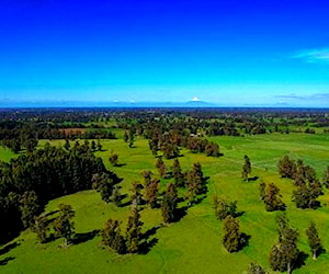 Hermosas Parcelas Entre Pellines - Osorno