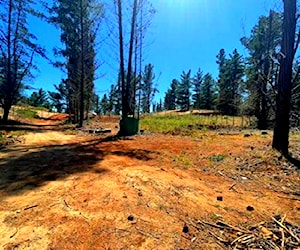 Terreno parcela 5.000m2 Con AGUA. Pañul, Pichilemu