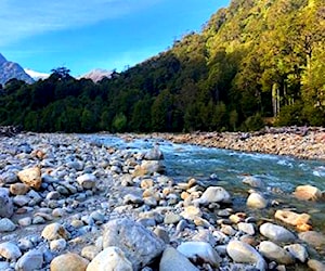 ORILLA DE RIO, BOSQUE NATIVO Patagonia Aysen