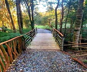 Parcela 5000m2 Polincay, Región de los Lagos