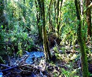 Parcela Cochamó