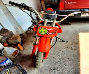 Moto pick biker 110 cc