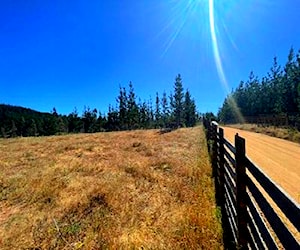 Parcela terreno 5.000m2 Pañul, Pichilemu