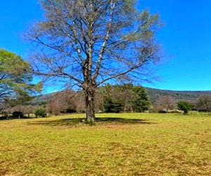 terreno 5000 m2 sector Piñiquihue