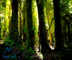 Terreno para Turismo en Cochamó