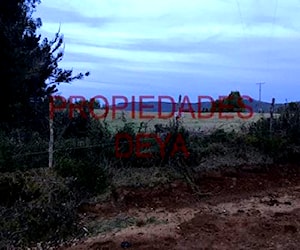 Campo de 90 hectáreas