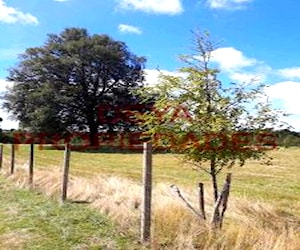 Parcelas en Colegual - Fresia