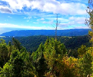 Terreno cercano a la costa y Valdivia