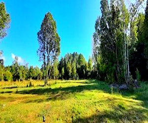 Campo a 32 km de Puerto Varas