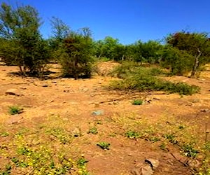 Terreno en Chincolco, sector El Sobrante V región