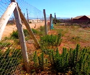 Derecho de terreno regularizado