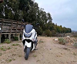 Moto 2019