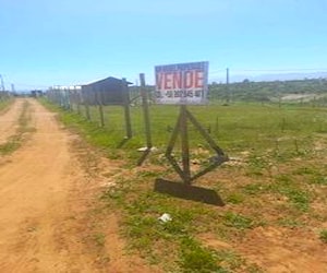 Terreno 1.000 mts.² con cabaña en Guanaqueros