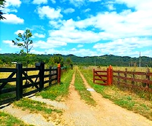 Parcela con casa, a orilla de Ruta 5 sur