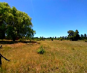 Lindo campo en Cabrero, con bosque y estero