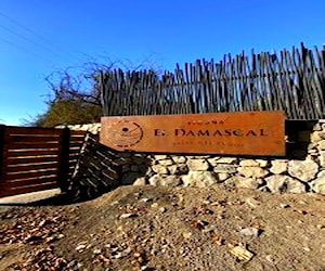 Parcela Valle de Elqui-Vicuña