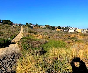 3 parcelas primera línea pichilemu