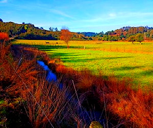 Parcela con Río 7.300 m², a 20 min Arauco