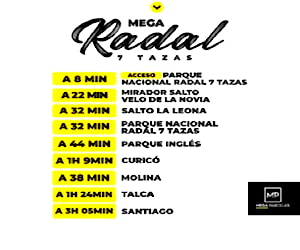 Radal, 7 Tazas, Maule, Curicó