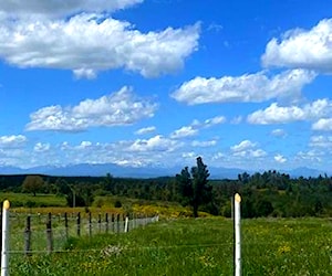 Parcela Chillán