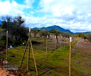 Parcela en San Javier, Región del Maule