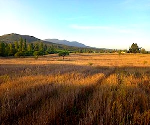 Terreno parcela rol propio